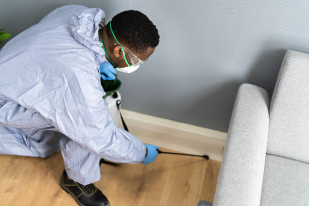 Best Real Estate Pest Inspections  in George West, TX